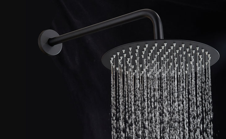 Stainless Steel Shower Head