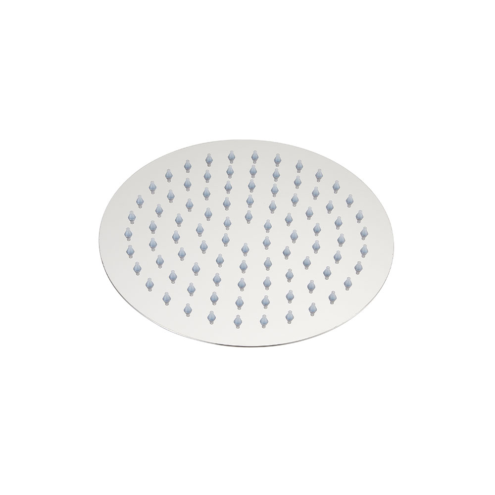 Stainless Steel Shower Head