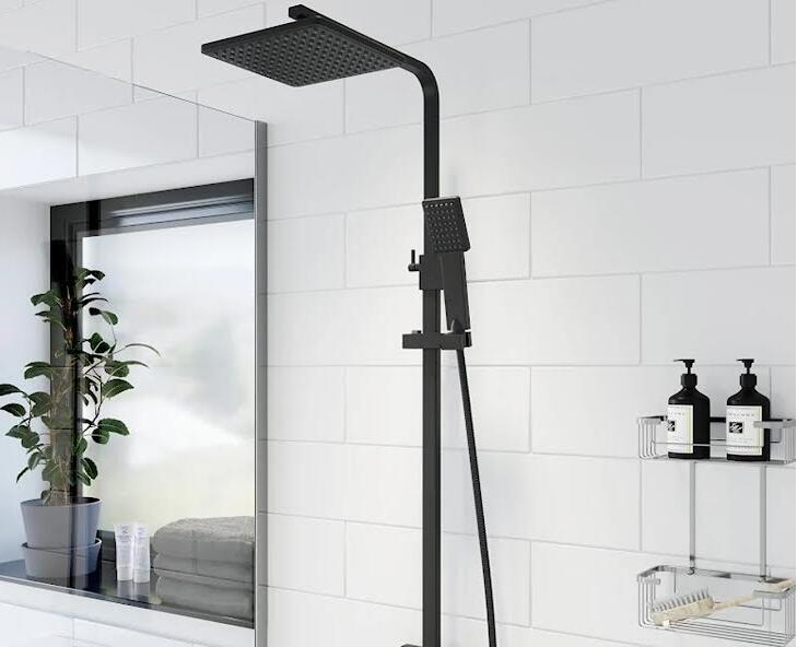 theromstaic showers picture